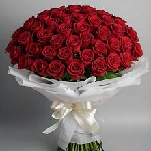 Букет 101 Красная роза Блэк Мэджик в Лебедяни