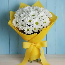 Букет цветов из:  Хризантемы в Лебедяни