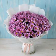Букет цветов из:  Хризантемы в Лебедяни