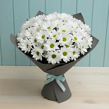 Букет цветов из:  Хризантемы в Лебедяни