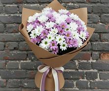 Букет цветов из:  Хризантемы в Лебедяни