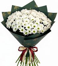 Букет цветов из:  Хризантемы в Лебедяни