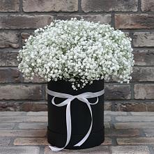 Цветочная композиция из Гипсофила в шляпной коробке в Лебедяни