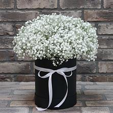 Цветочная композиция из Гипсофила в шляпной коробке в Лебедяни